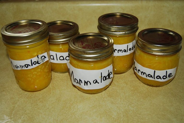 Have an Orange Marmalade Day Dartmouth Book Exchange